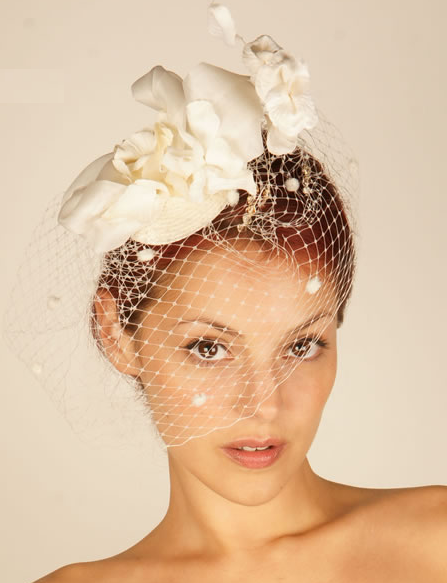 birdcage veil