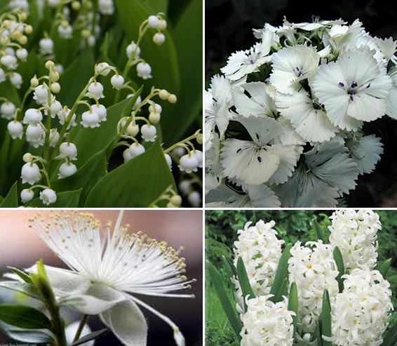 royal-wedding-catherine-flowers