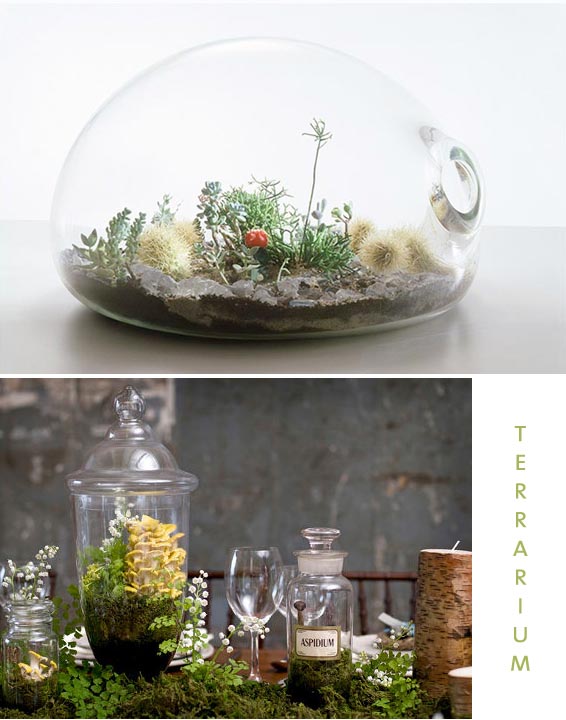 terrarium wedding DIY project