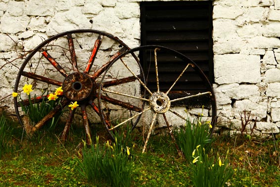 Carol Dunne - Roscommon Wedding (3)