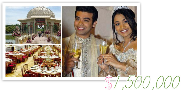 vanisha mittal expensive wedding