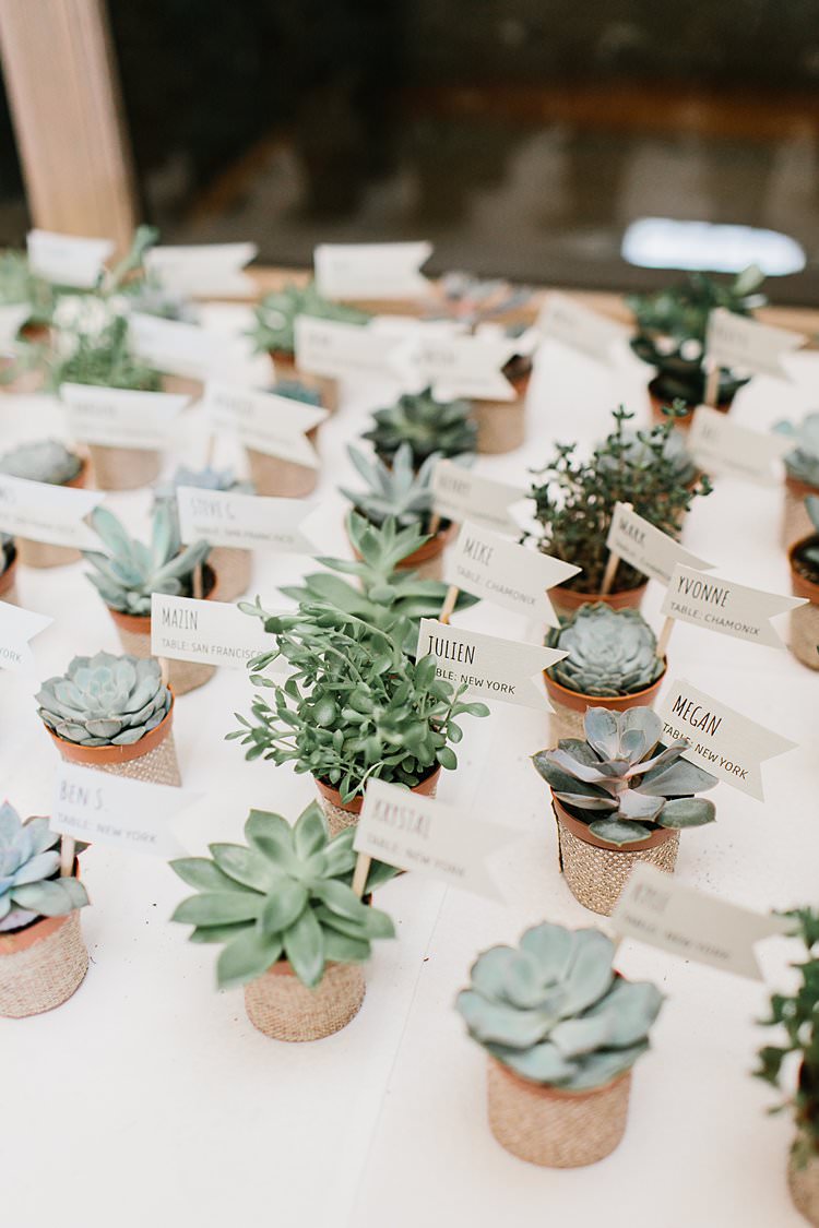 Succulent wedding favour