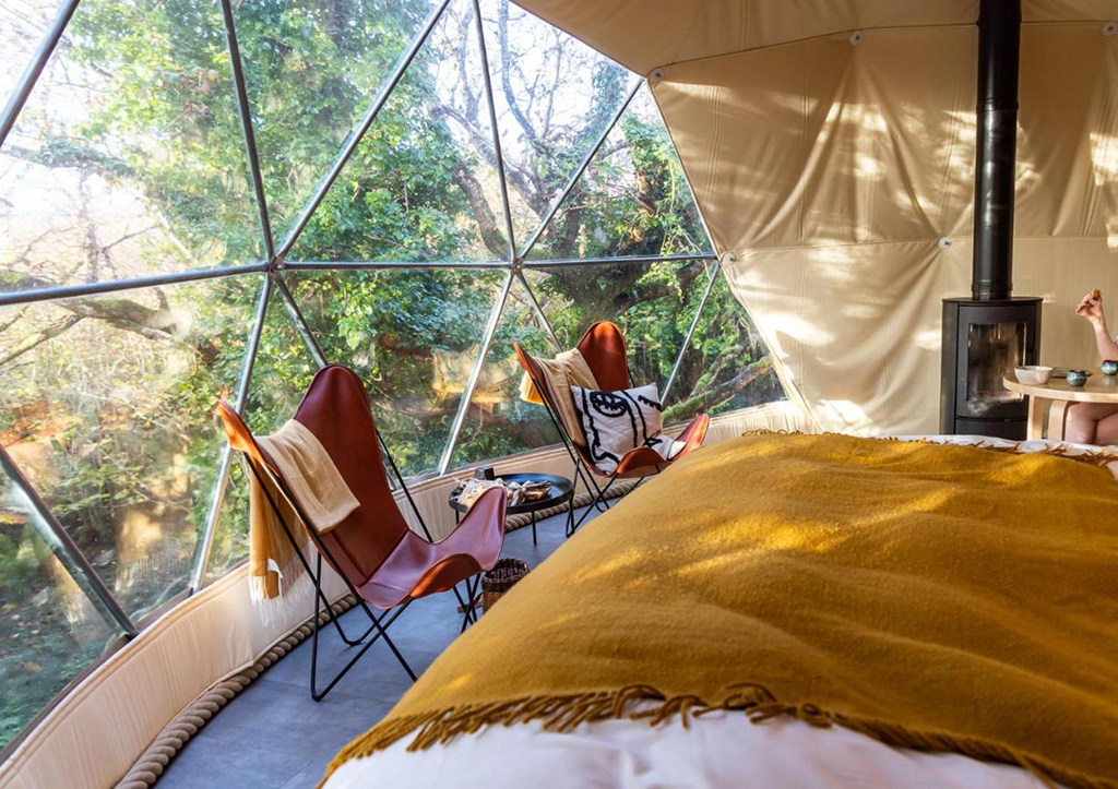 The Treehouse Dome at Fernwood Farm