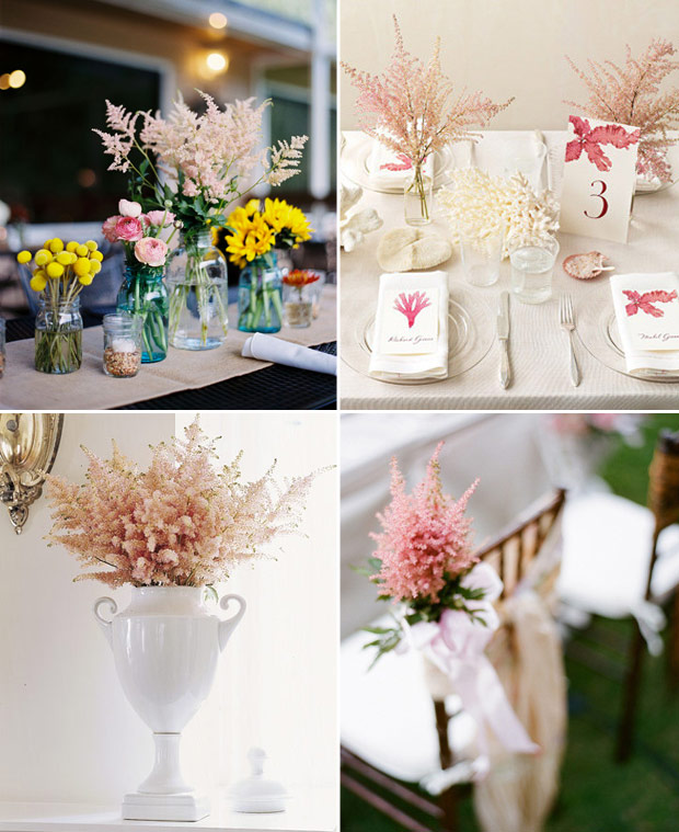 Astilbe-Decor