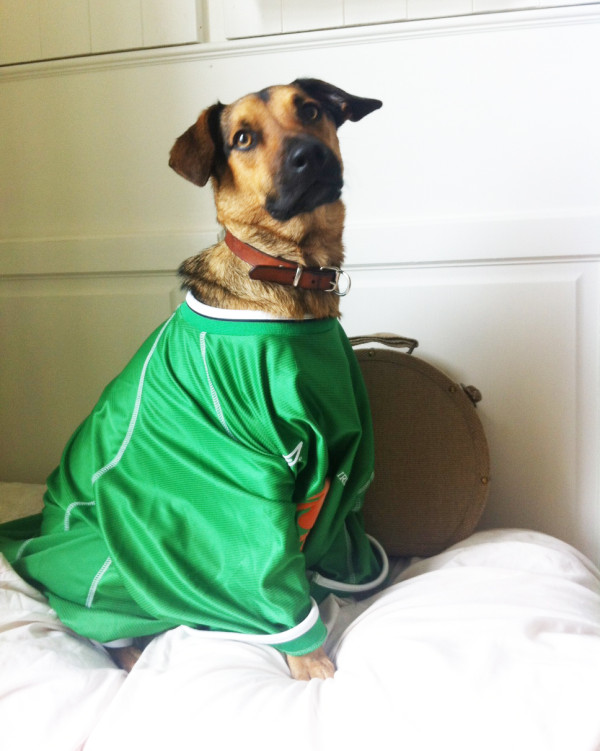 One Fab Dog - Ireland Euro 2012