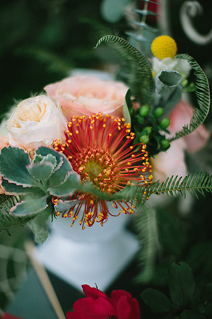 peach and orange flowers