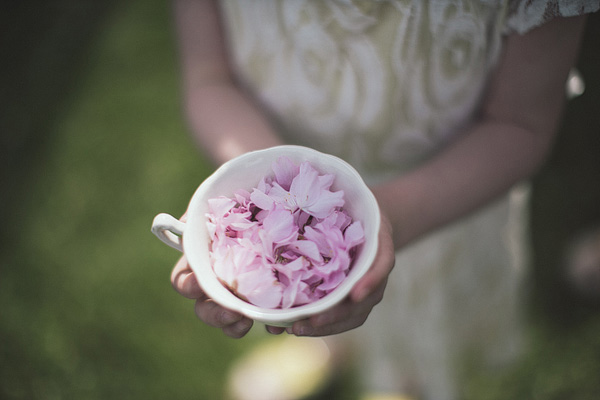 pink flowers in a teacup