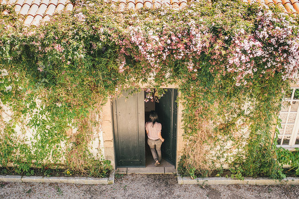 pink flowers