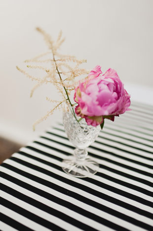 simple pink peony