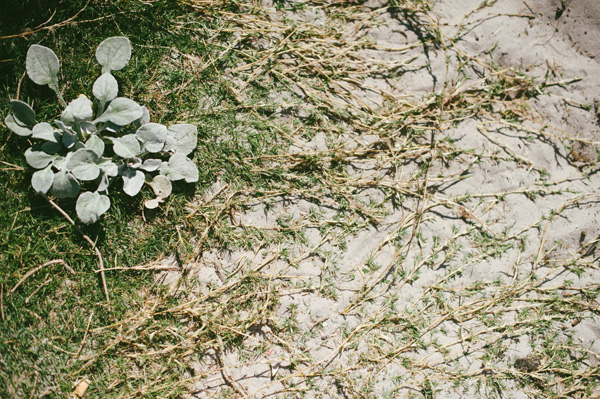 beach wedding