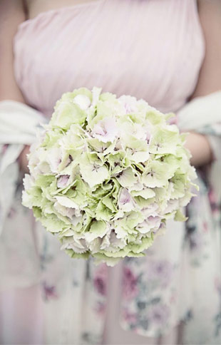 One Flower Bouquets - Hydrangea 