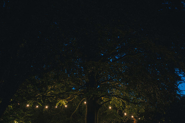 tree with lights