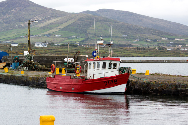 boats in a harbour