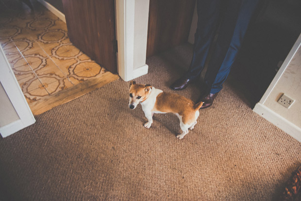 Cute dog at wedding | onefabday.com