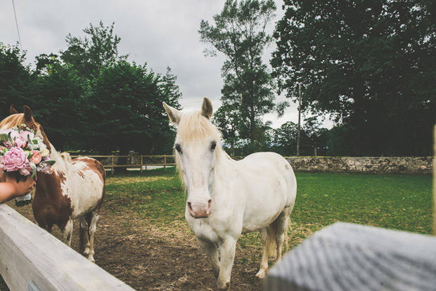 White horse | onefabday.com