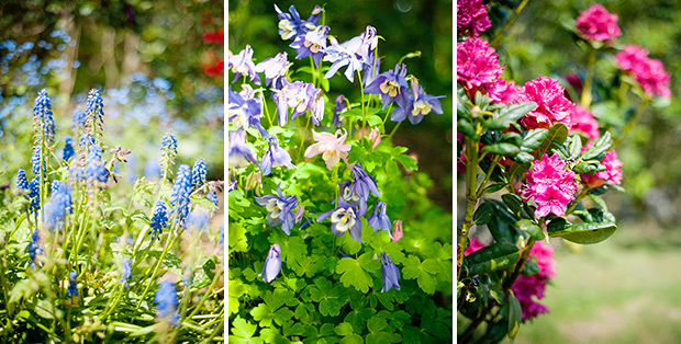 Beautiful Irish Nature | Photography by Fiona Jamieson | onefabday.com