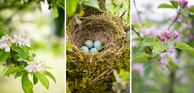 Beautiful Irish Nature | Photography by Fiona Jamieson | onefabday.com