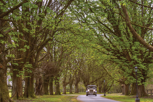 Donna and Macdarra's Beautiful Waterford Castle Wedding by Aspect Photography | onefabday.com