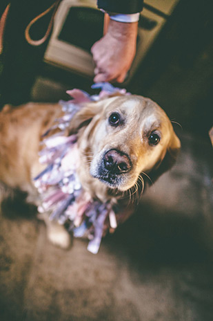 Aislinn and James' DIY extravaganza wedding at Ballybeg by Memento Photography | onefabday.com