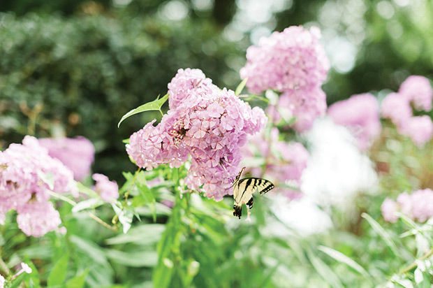 Natalie and Jeff's beautiful Summer back garden wedding by Lauren Fair | onefabday.com