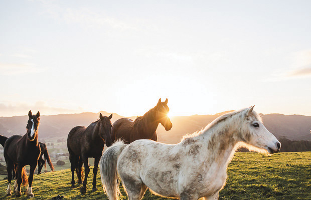 Beautiful boho rustic wedding by Chasewild Photography | onefabday.com