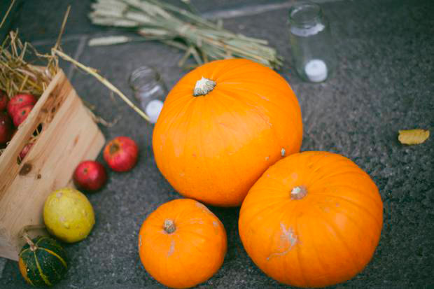 Beautiful Autumnal wedding at Kilshane House by Martina California Photography | onefabday.com