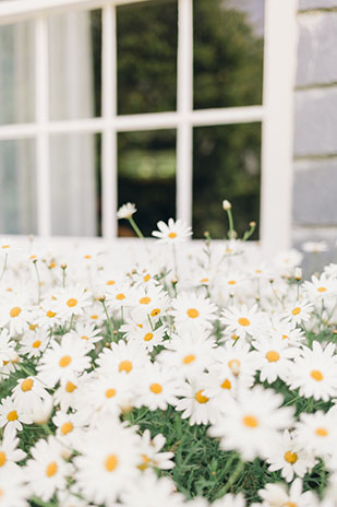 Pamflete House real wedding by Butterfly Photography | onefabday.com