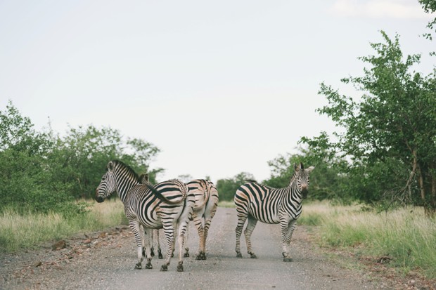 Kruger National Park South Africa Wedding By Love Made Visible // onefabday.com