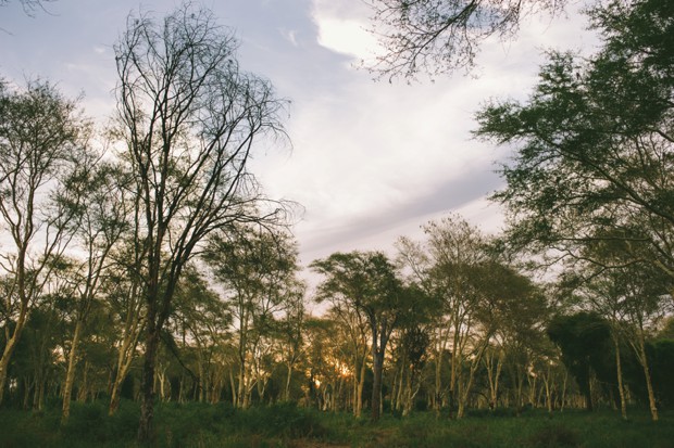 Kruger National Park South Africa Wedding By Love Made Visible // onefabday.com