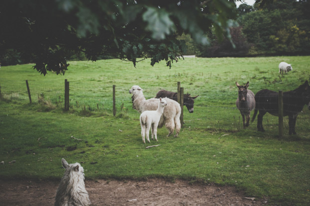 Larchfield Estate wedding by Ronan Shaw Photographie | onefabday.com