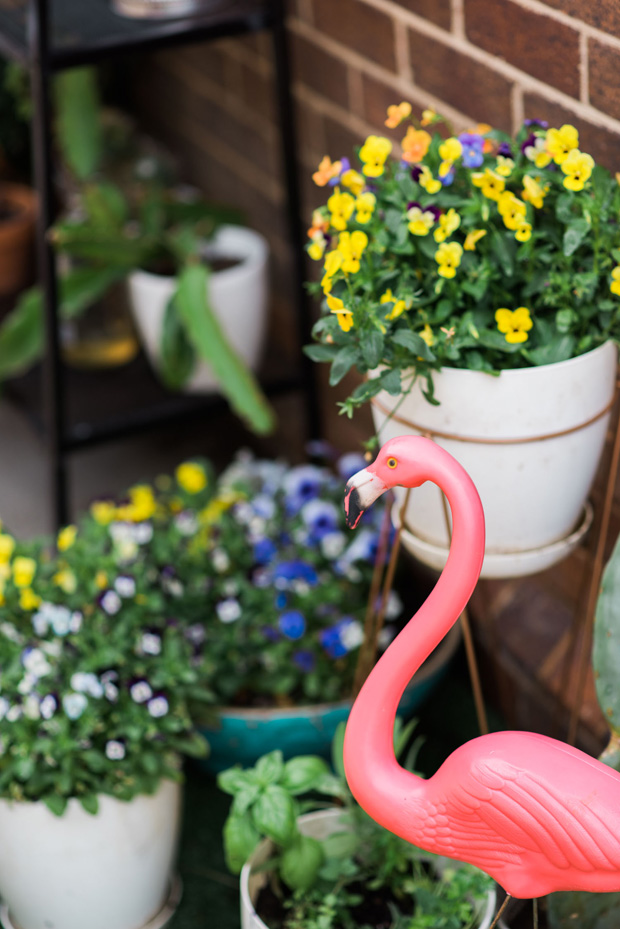 Fun backyard Brisbane wedding at home by Lost in Wishful Thinking photography // onefabday.com