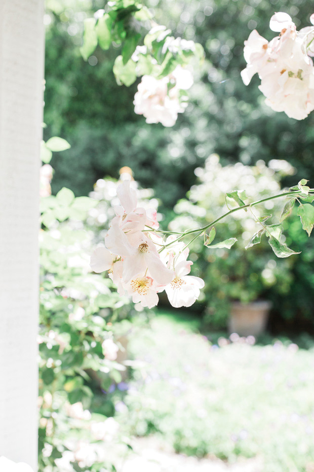 Beautiful shabby chic, boho inspired bridal shower by Jenny Quicksall Photography // onefabday.com