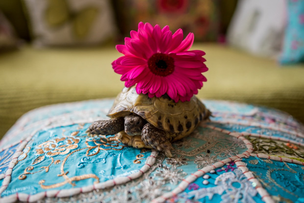 Pretty colourful floral wedding at Clock Barn by Mia Photography // onefabday.com