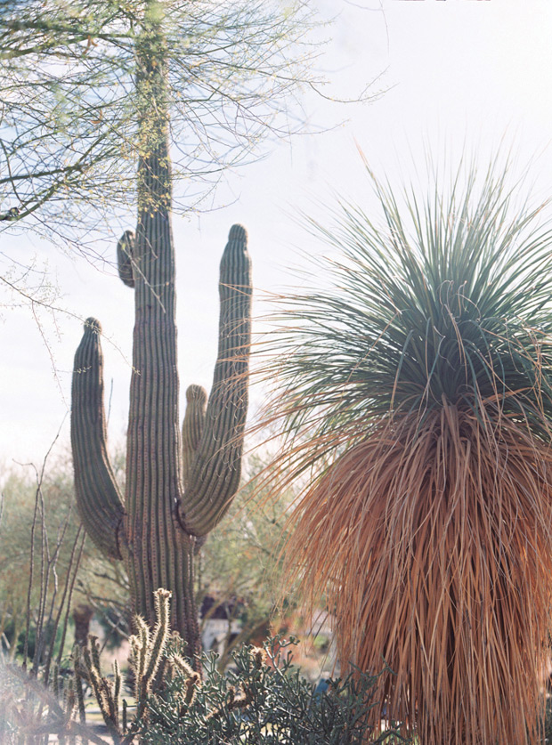 Springs Preserve Wedding in Las Vegas by Gaby J Photography // onefabday.com