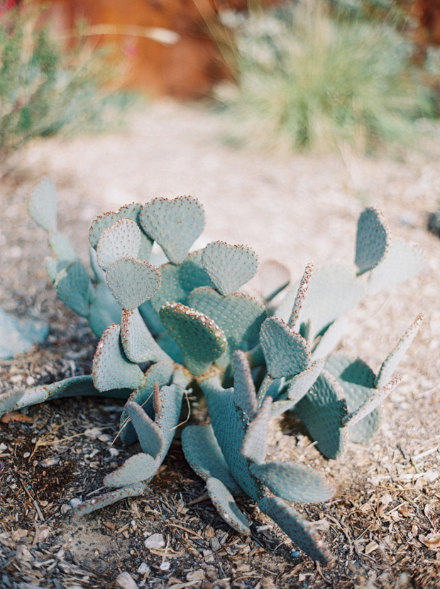 Springs Preserve Wedding in Las Vegas by Gaby J Photography // onefabday.com