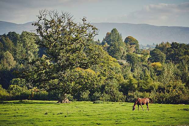 Beautiful Borris House Real Wedding by DK Photo // onefabday.com