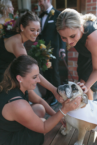 Pretty at home wedding by Paul McGinty Photography // onefabday.com