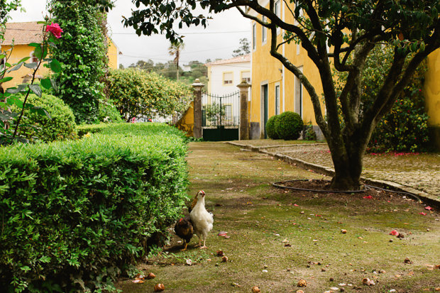 Beautiful Wedding in Portugal by Matt and Lena Photography // see it all on onefabday.com