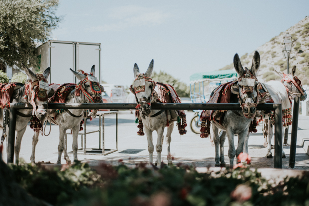 Chic Andalusia wedding by True Romance Photigraphy 34