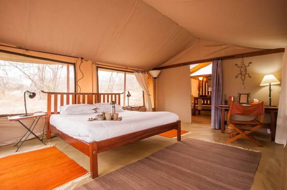 The 11 Best Safari Honeymoon // See them all on onefabday.com