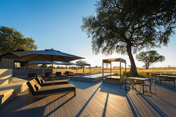 The 11 Best Safari Honeymoon // See them all on onefabday.com