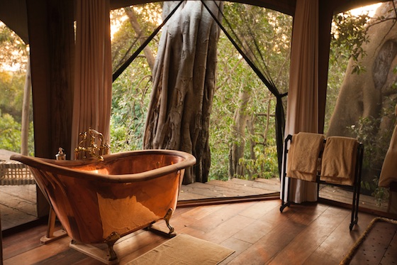 The 11 Best Safari Honeymoon // See them all on onefabday.com