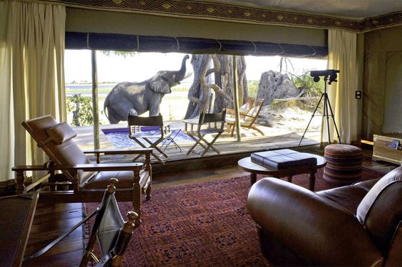 The 11 Best Safari Honeymoon // See them all on onefabday.com