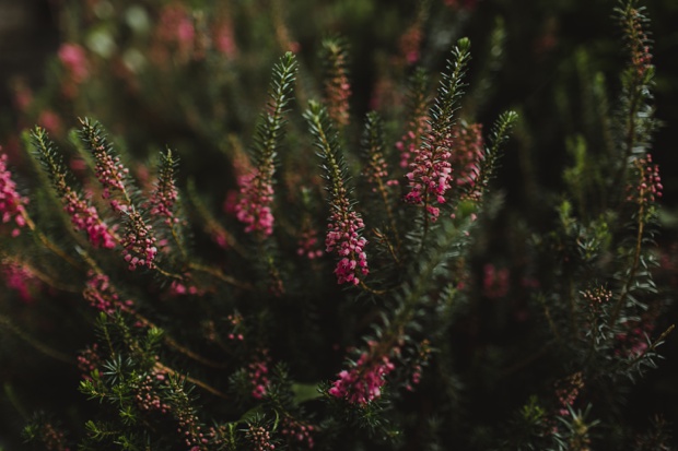 Beautiful Irish Elopement by Paula O'Hara | onefabday.com