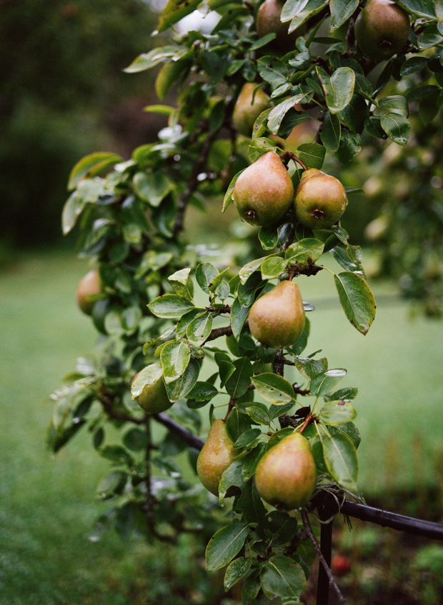 Moody and beautiful English garden wedding inspiration by Koby Brown Photography | onefabday.com