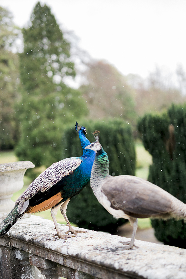 Beautiful destination wedding at Gloster House | onefabday.com