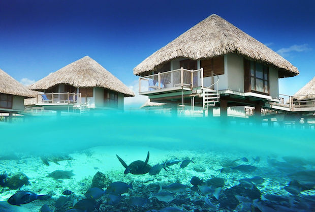 Turtle Sanctuary in Bora Bora