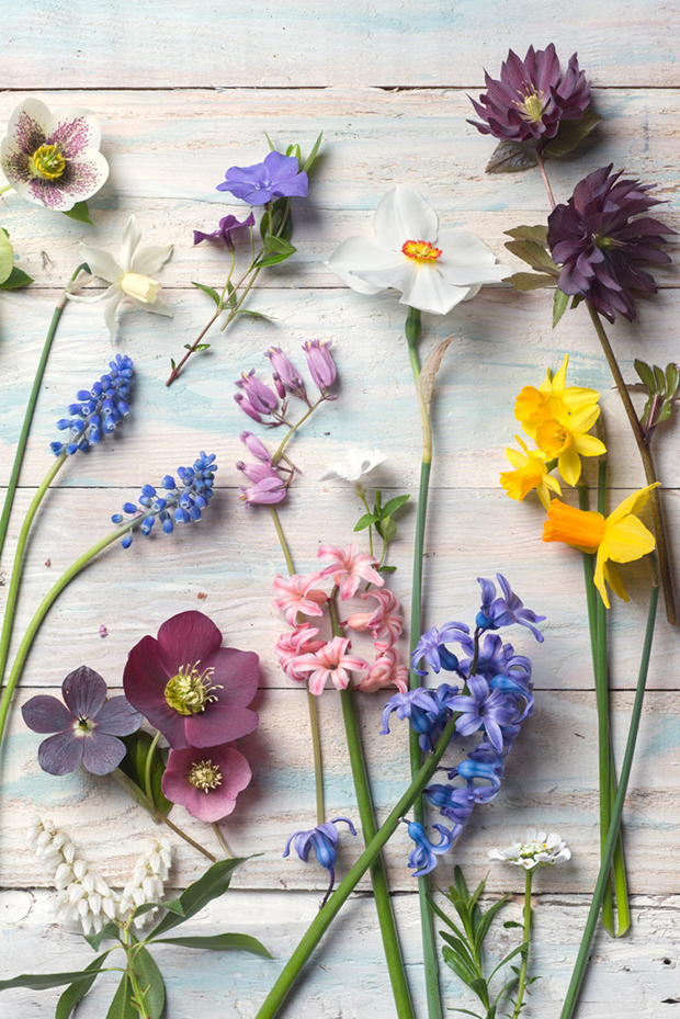 An Essential Guide to Spring Wedding Flowers | onefabday.com