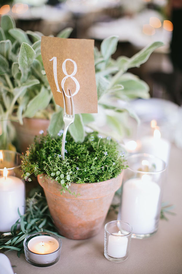 7 Ways to Use Potted Plants in your Wedding | see them all on onefabday.com