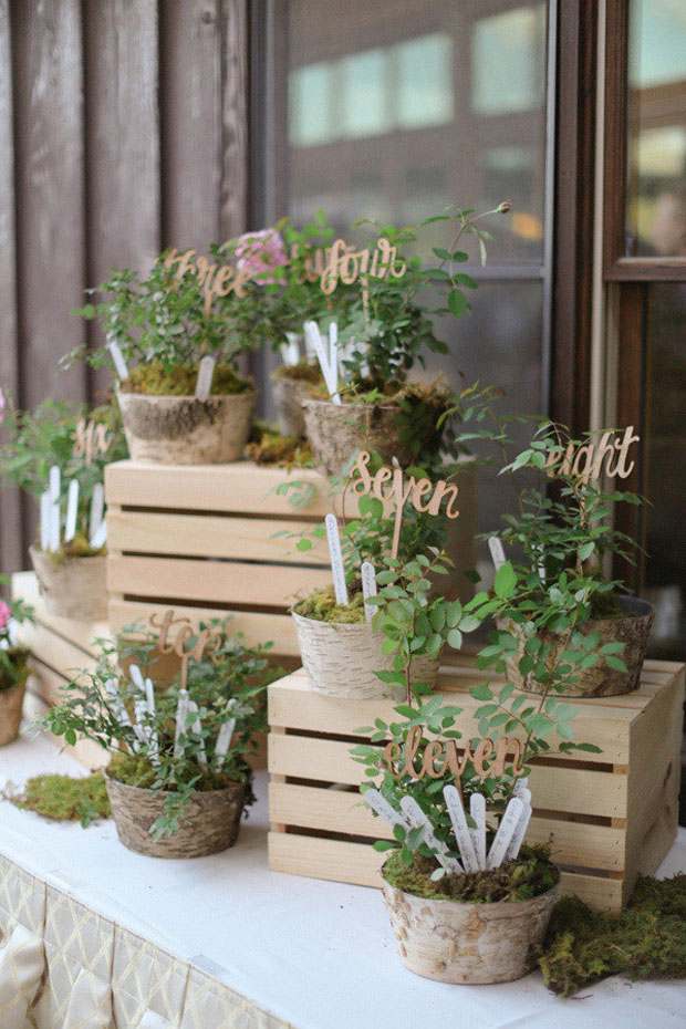 7 Ways to Use Potted Plants in your Wedding | see them all on onefabday.com